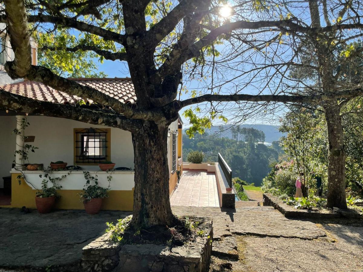 Вілла Quinta Do Troviscal Кастело до Боде Екстер'єр фото