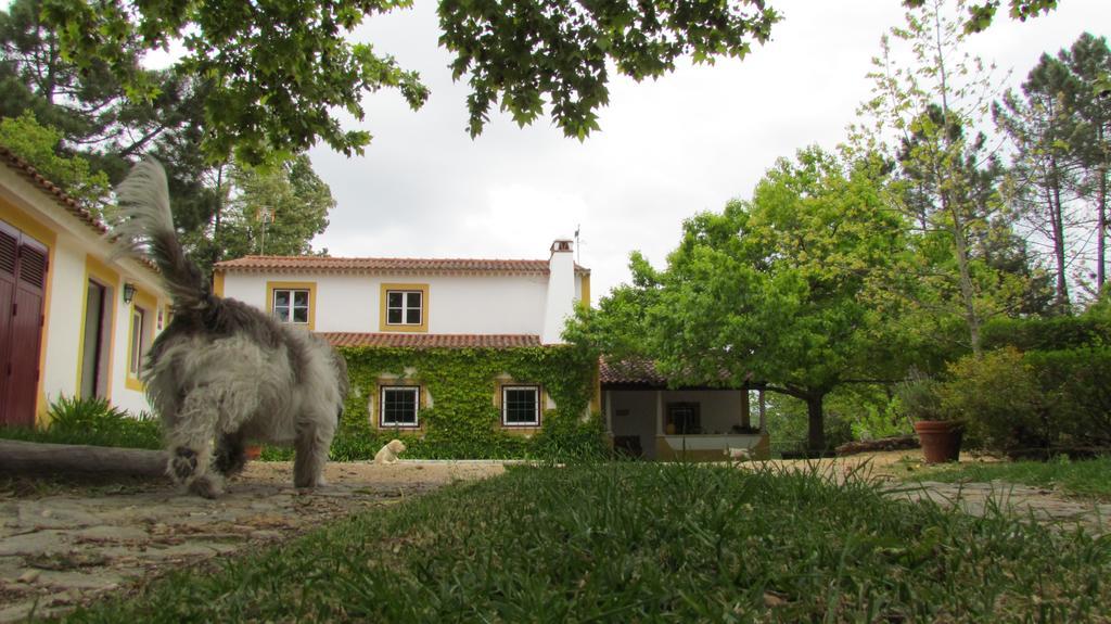 Вілла Quinta Do Troviscal Кастело до Боде Екстер'єр фото